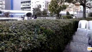 熟女人妻av完整一区二区三区|亚洲精品99久久久久中文字幕